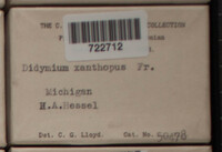 Image Associated With the Occurence